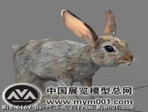 3D兔子