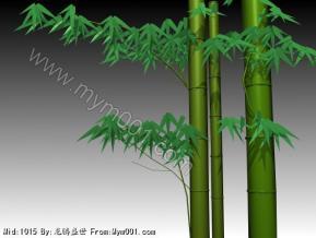 竹子03