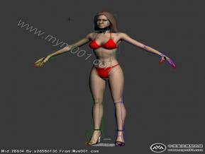 内衣模特带骨骼