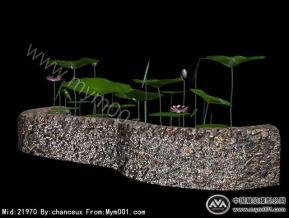 荷花池3D模型
